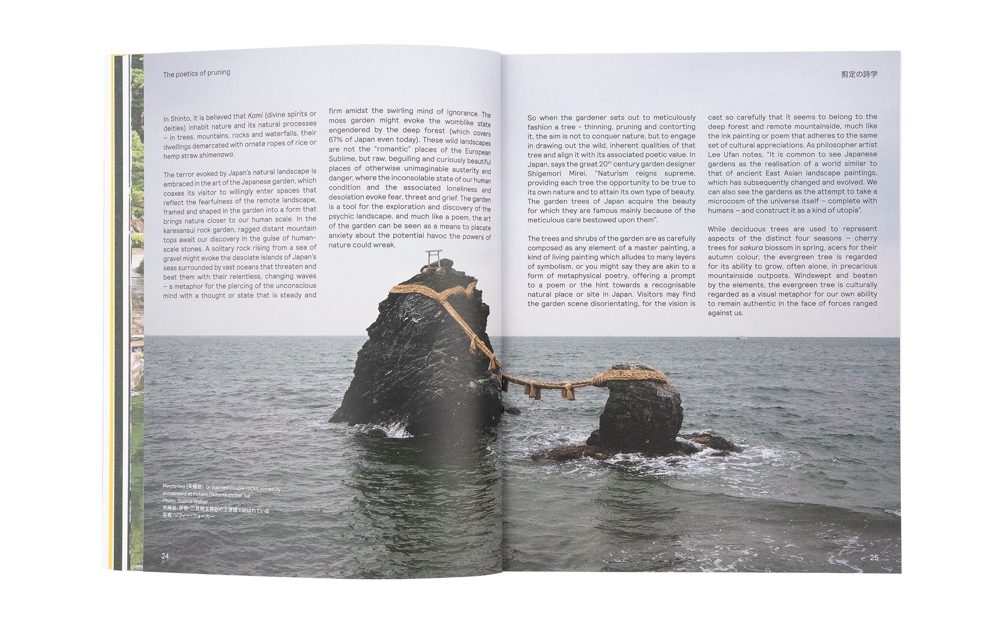 Niwaki Field Report No.2