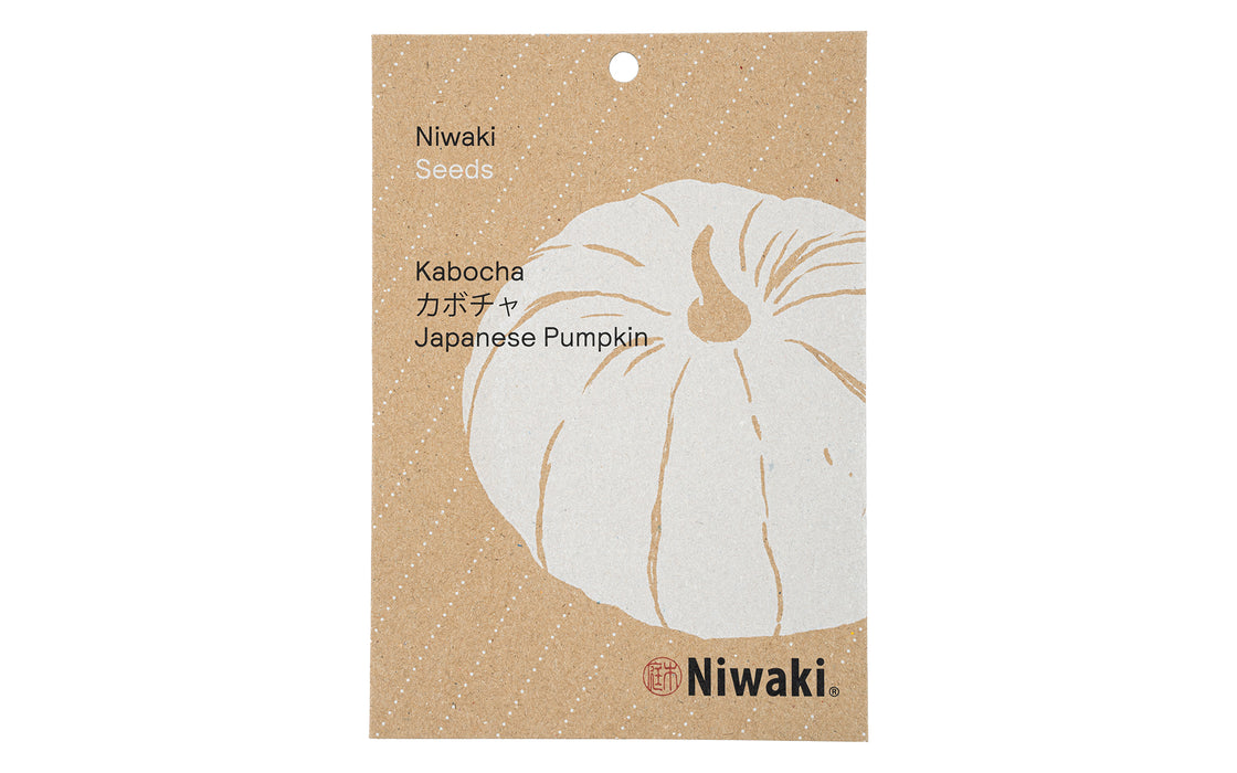Kabocha seeds