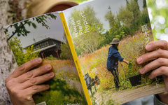 Niwaki Field Report No.1