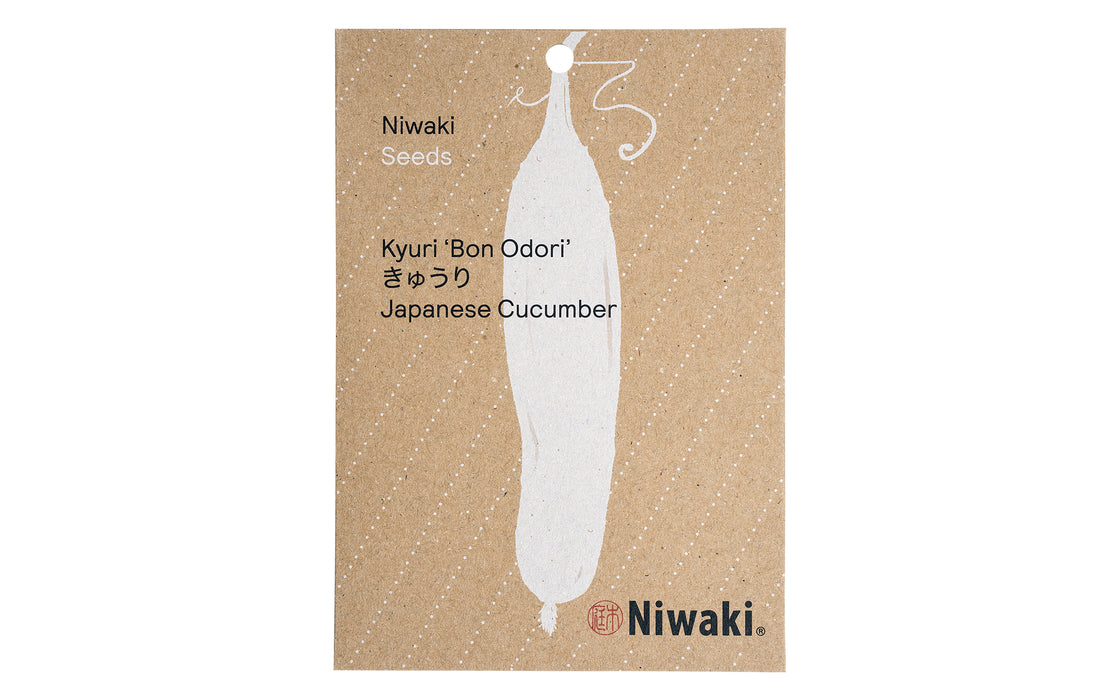 Kyuri “Bon Odori” seeds