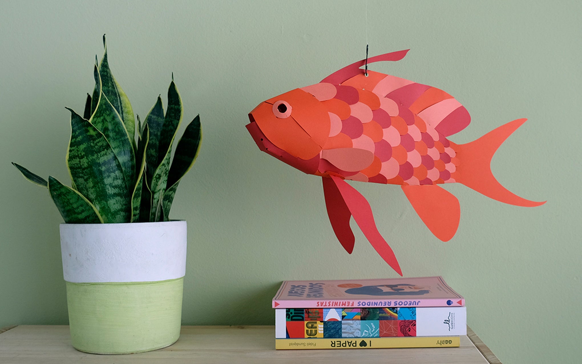 3D Paper Model - Anthias Anthias (Swallowtail Sea Perch)