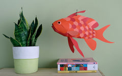 3D Paper Model - Anthias Anthias (Swallowtail Sea Perch)