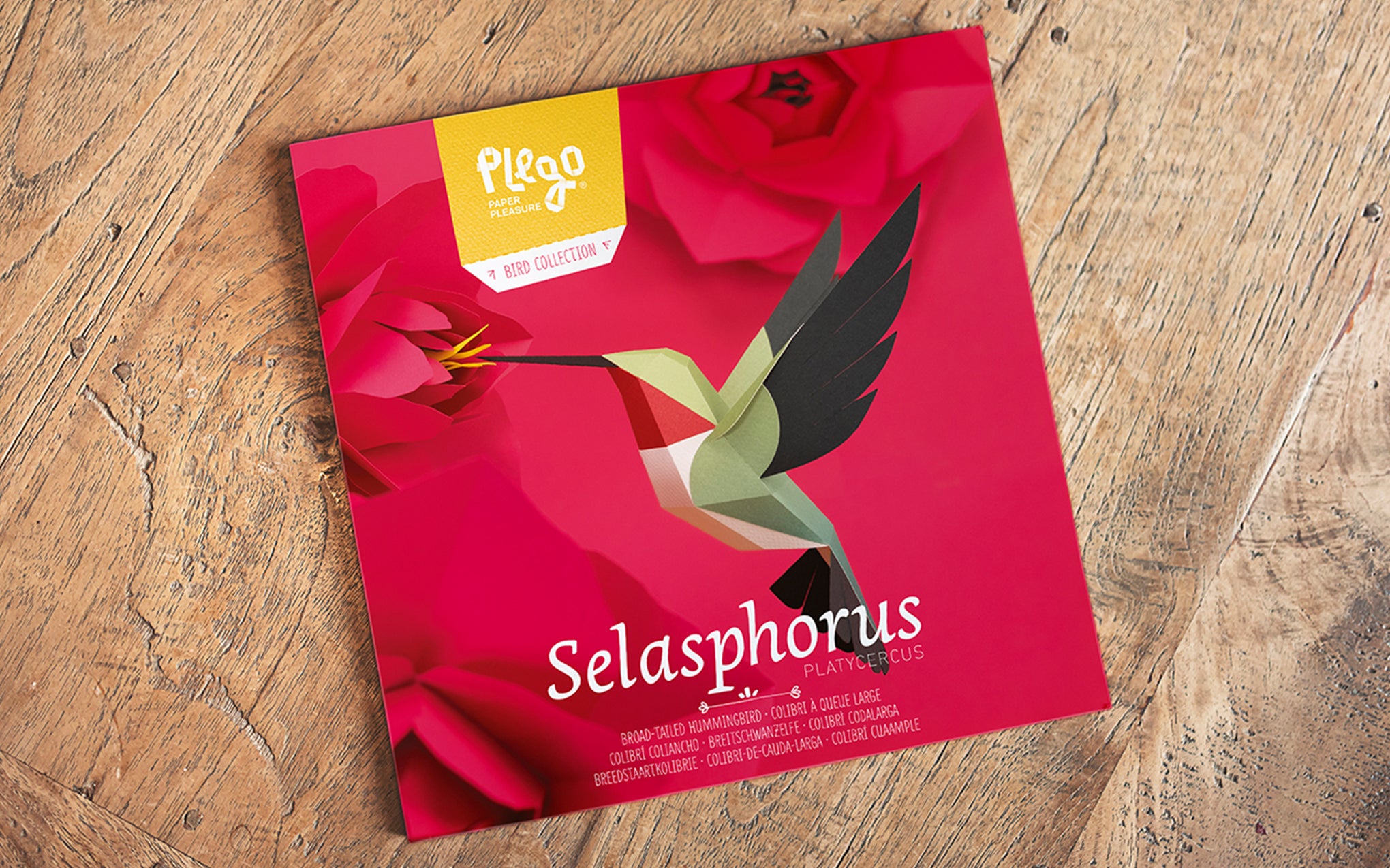 3D Paper Model - Selasphorus Platycercus (Hummingbird)