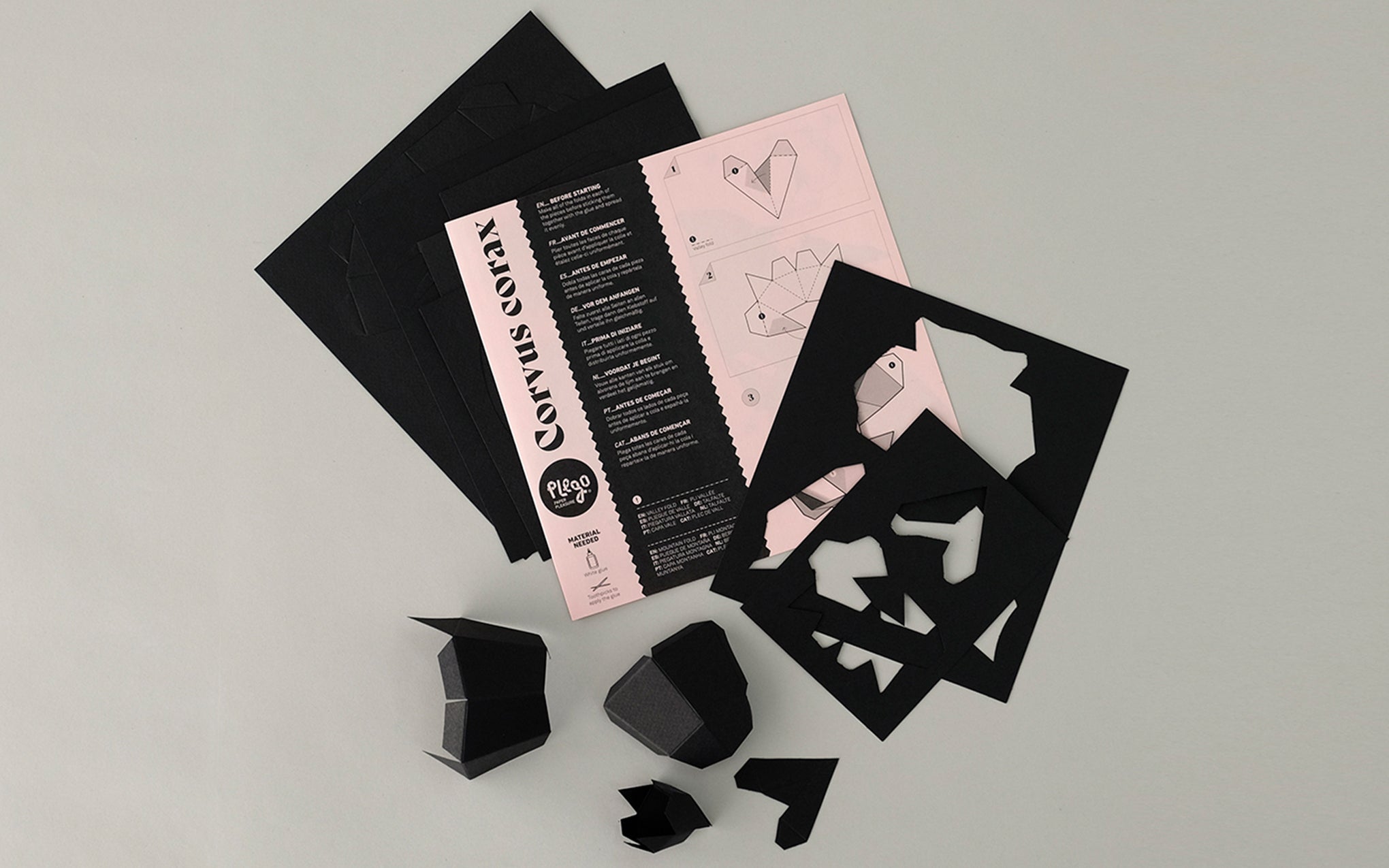 3D Paper Model - Corvus Corvax (Raven)