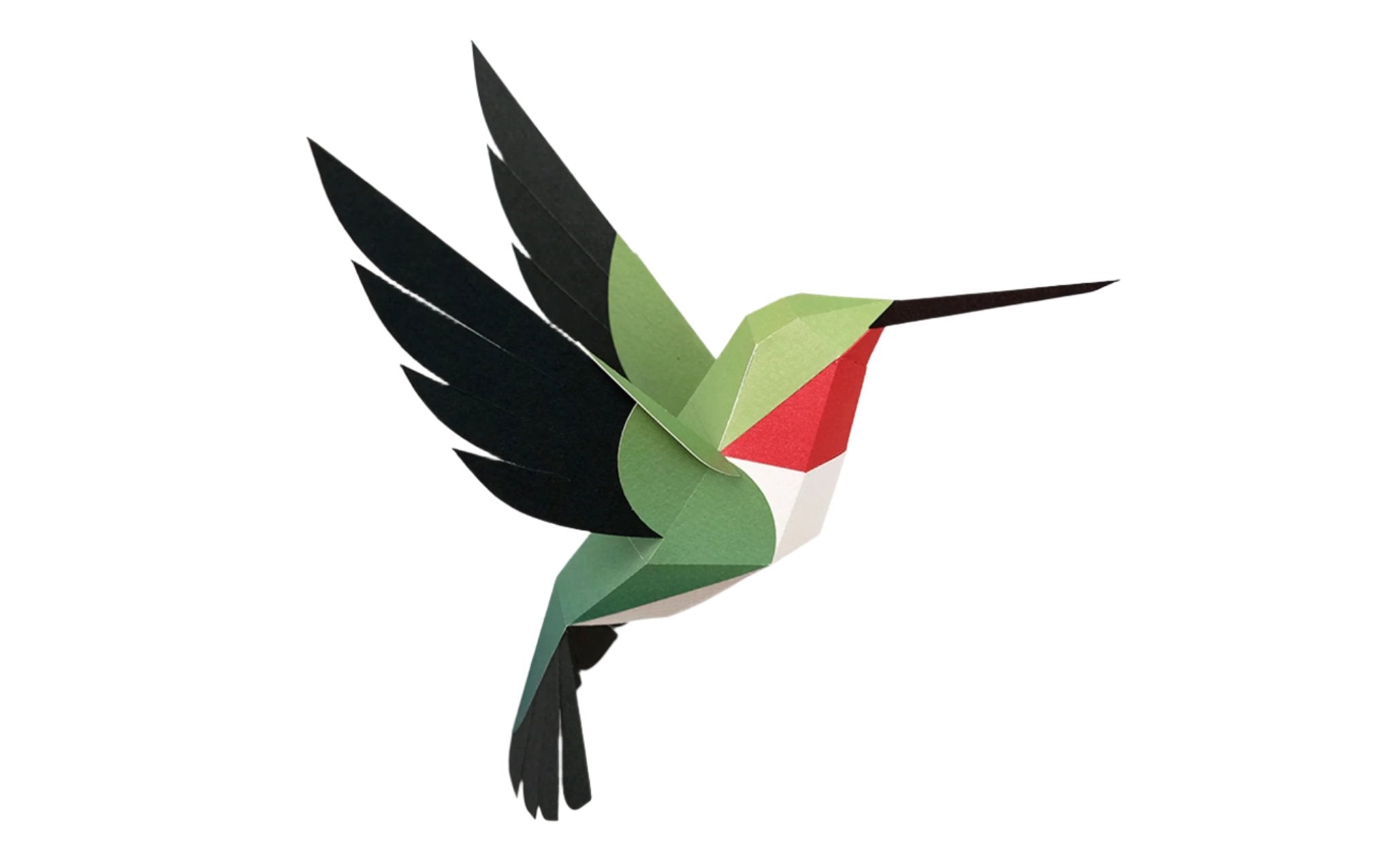 3D Paper Model - Selasphorus Platycercus (Hummingbird)