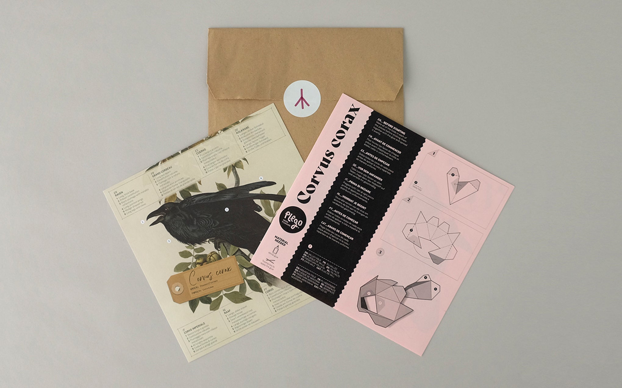 3D Paper Model - Corvus Corvax (Raven)