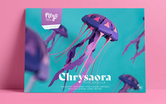3D Paper Model - Chrysaora Hysoscella (Compass Jellyfish)