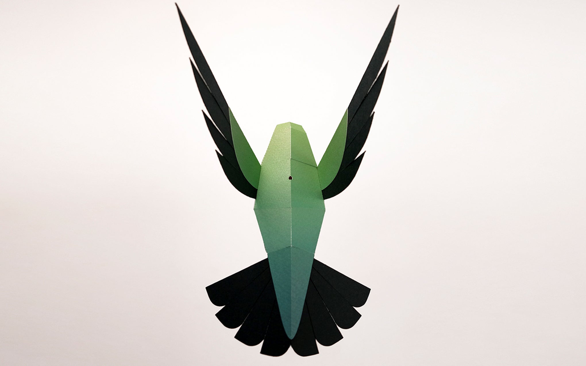 3D Paper Model - Selasphorus Platycercus (Hummingbird)