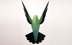 3D Paper Model - Selasphorus Platycercus (Hummingbird)