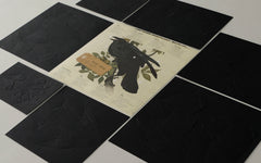 3D Paper Model - Corvus Corvax (Raven)