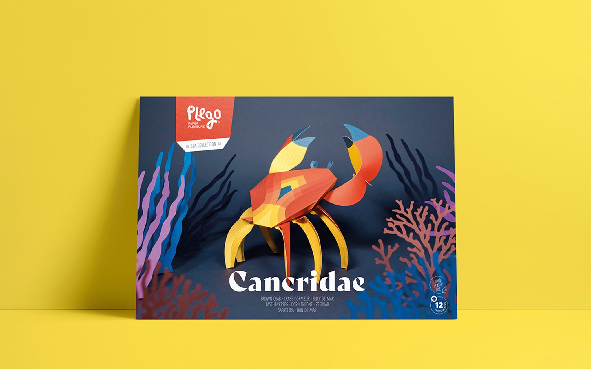 3D Paper Model - Cancridae (Crab)