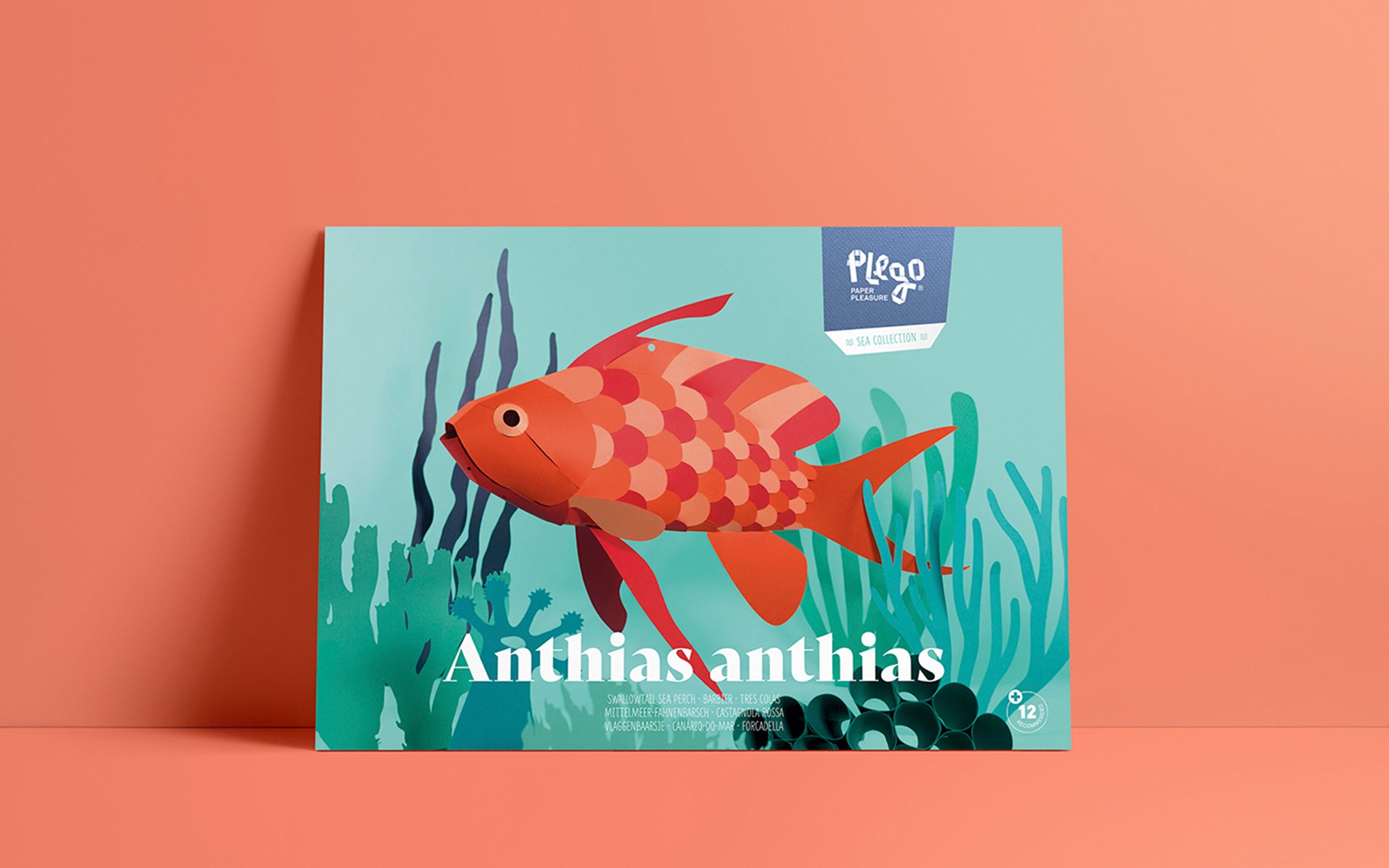 3D Paper Model - Anthias Anthias (Swallowtail Sea Perch)