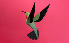 3D Paper Model - Selasphorus Platycercus (Hummingbird)