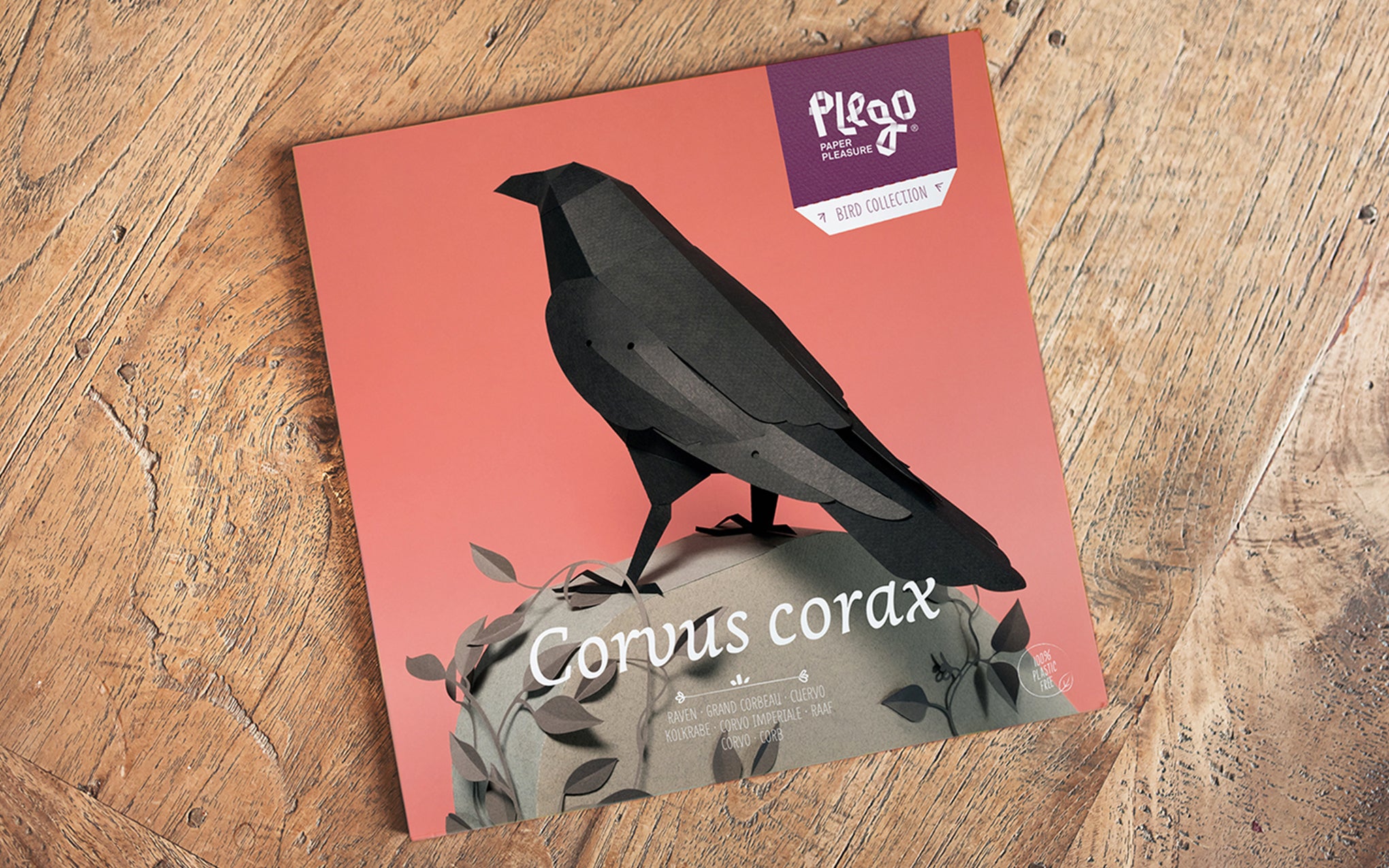 3D Paper Model - Corvus Corvax (Raven)