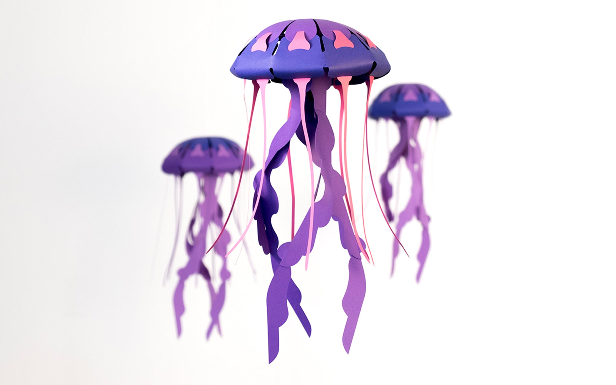 3D Paper Model - Chrysaora Hysoscella (Compass Jellyfish)