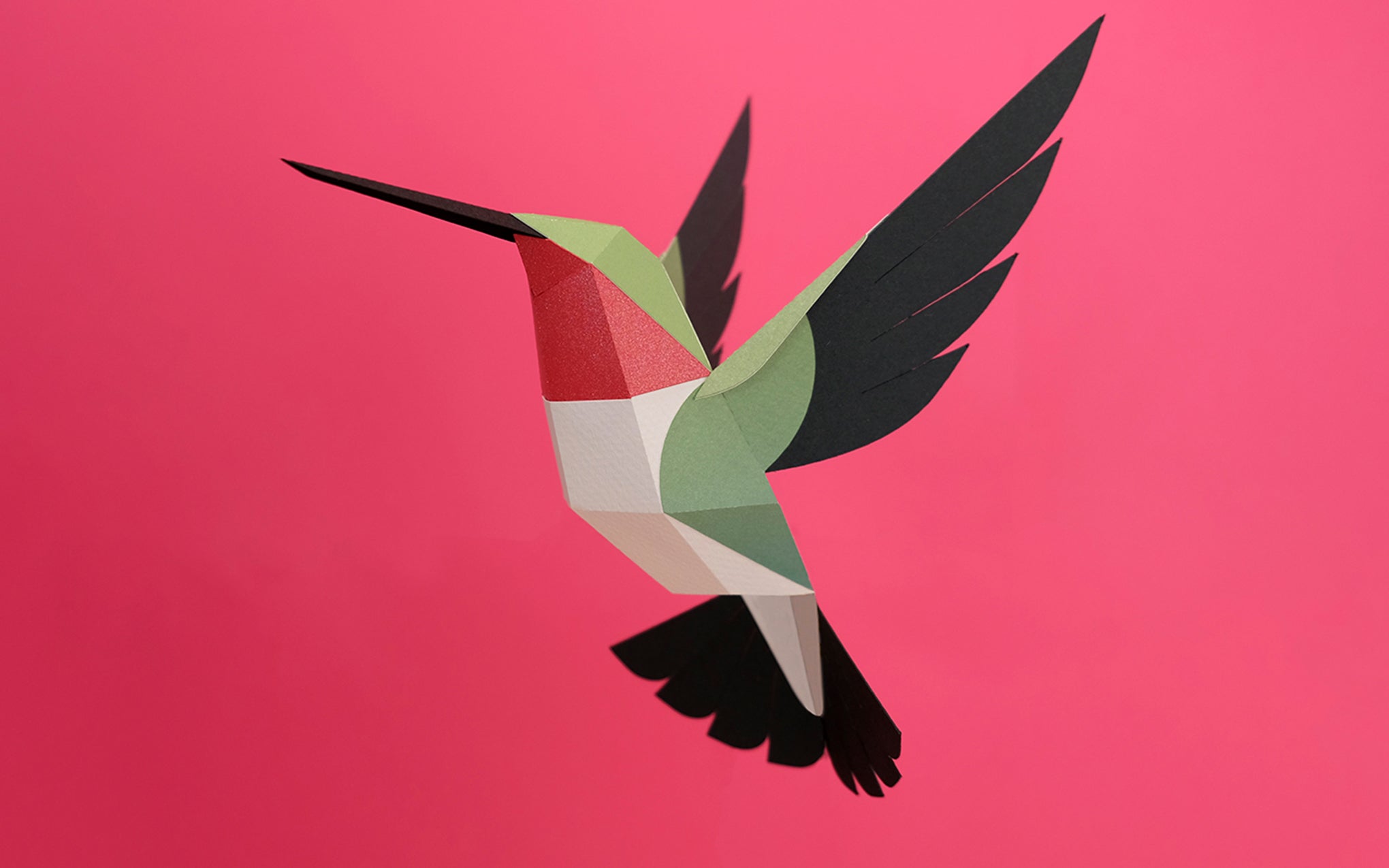 3D Paper Model - Selasphorus Platycercus (Hummingbird)