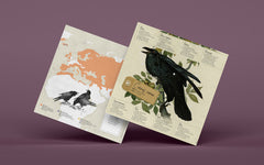 3D Paper Model - Corvus Corvax (Raven)