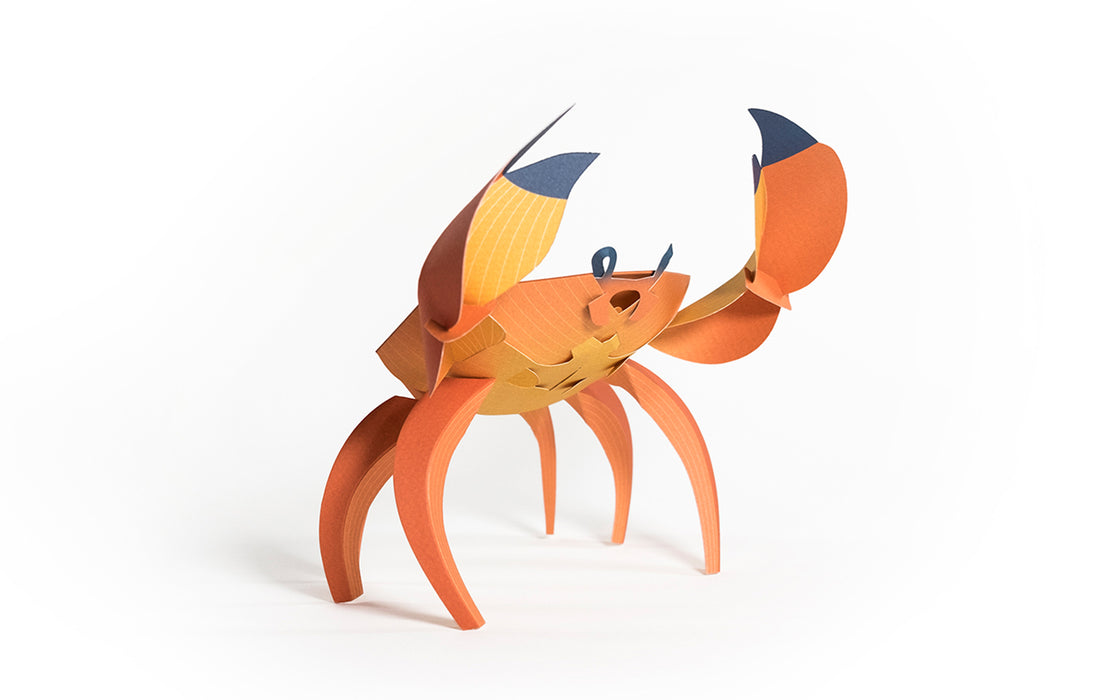 3D Paper Model - Cancridae (Crab)
