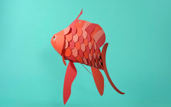 3D Paper Model - Anthias Anthias (Swallowtail Sea Perch)