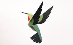 3D Paper Model - Selasphorus Platycercus (Hummingbird)