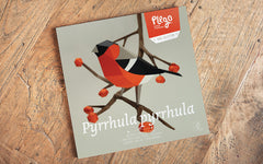 3D Paper Model - Pyrrhula Pyrrhula (Bullfinch)