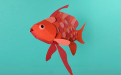 3D Paper Model - Anthias Anthias (Swallowtail Sea Perch)