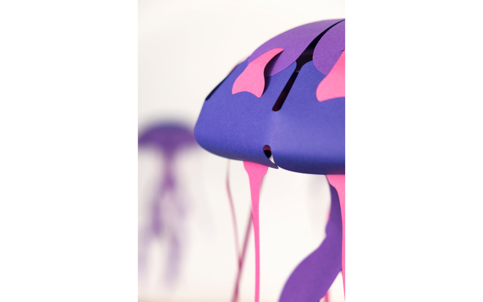 3D Paper Model - Chrysaora Hysoscella (Compass Jellyfish)