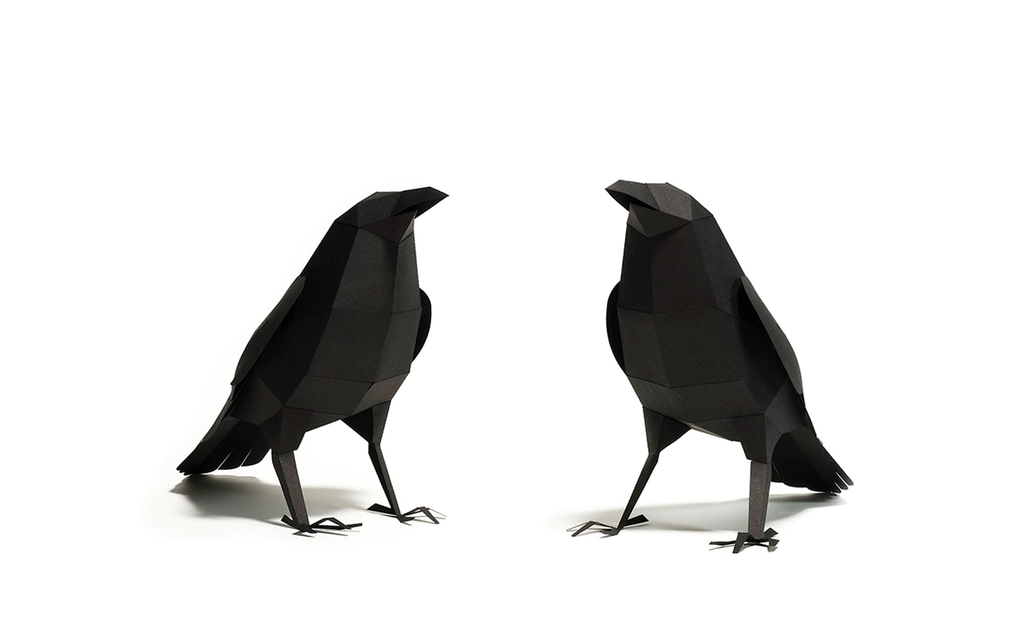 3D Paper Model - Corvus Corvax (Raven)