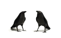 3D Paper Model - Corvus Corvax (Raven)
