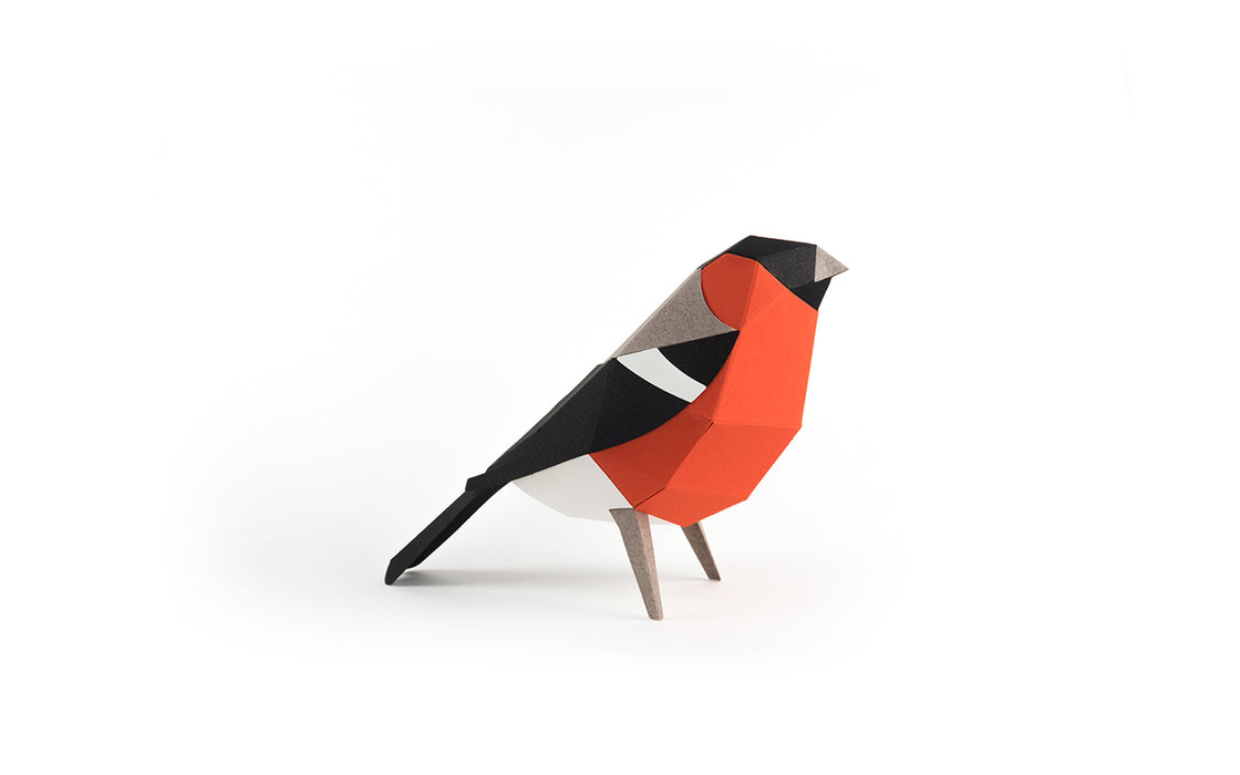 3D Paper Model - Pyrrhula Pyrrhula (Bullfinch)