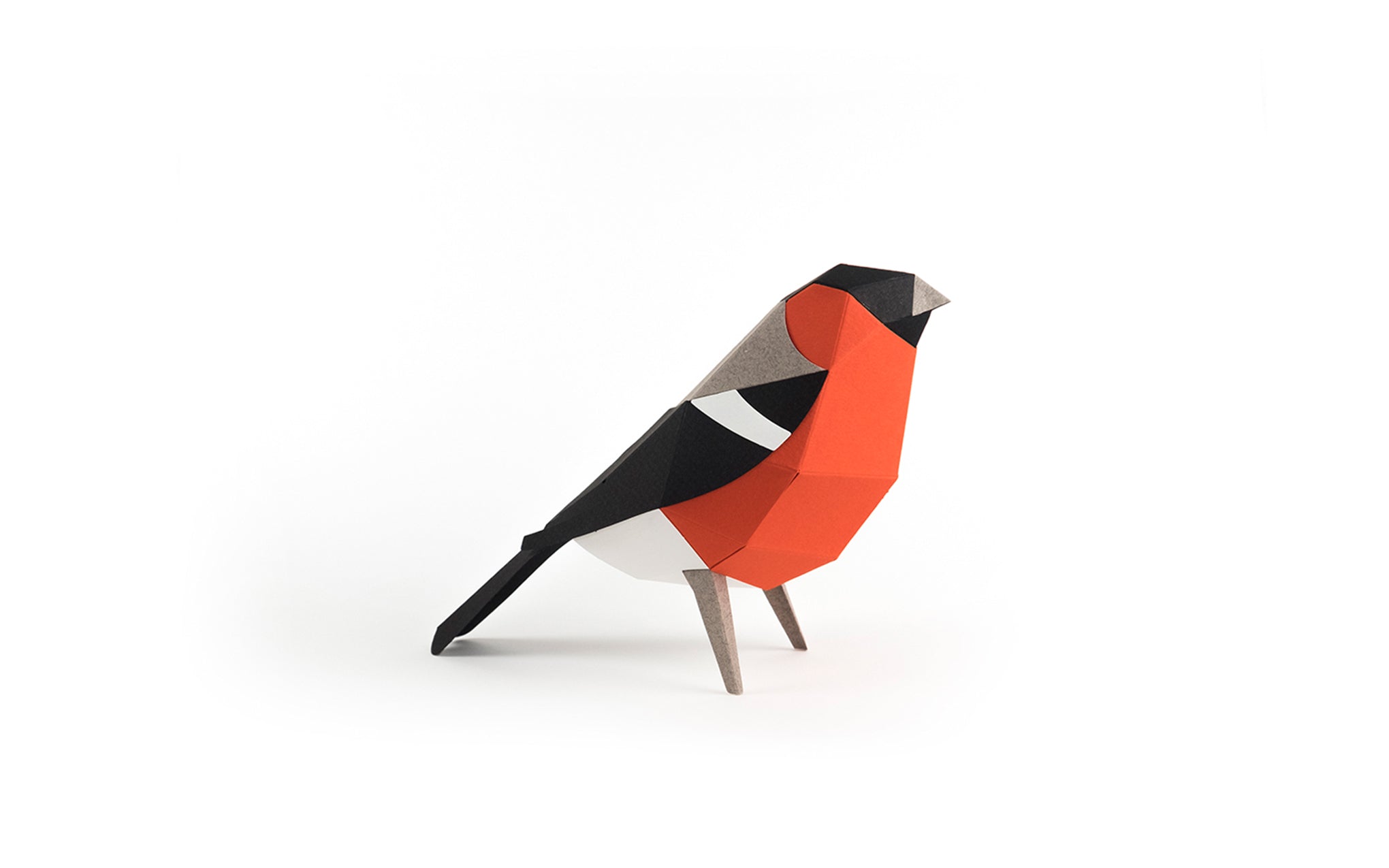 3D Paper Model - Pyrrhula Pyrrhula (Bullfinch)