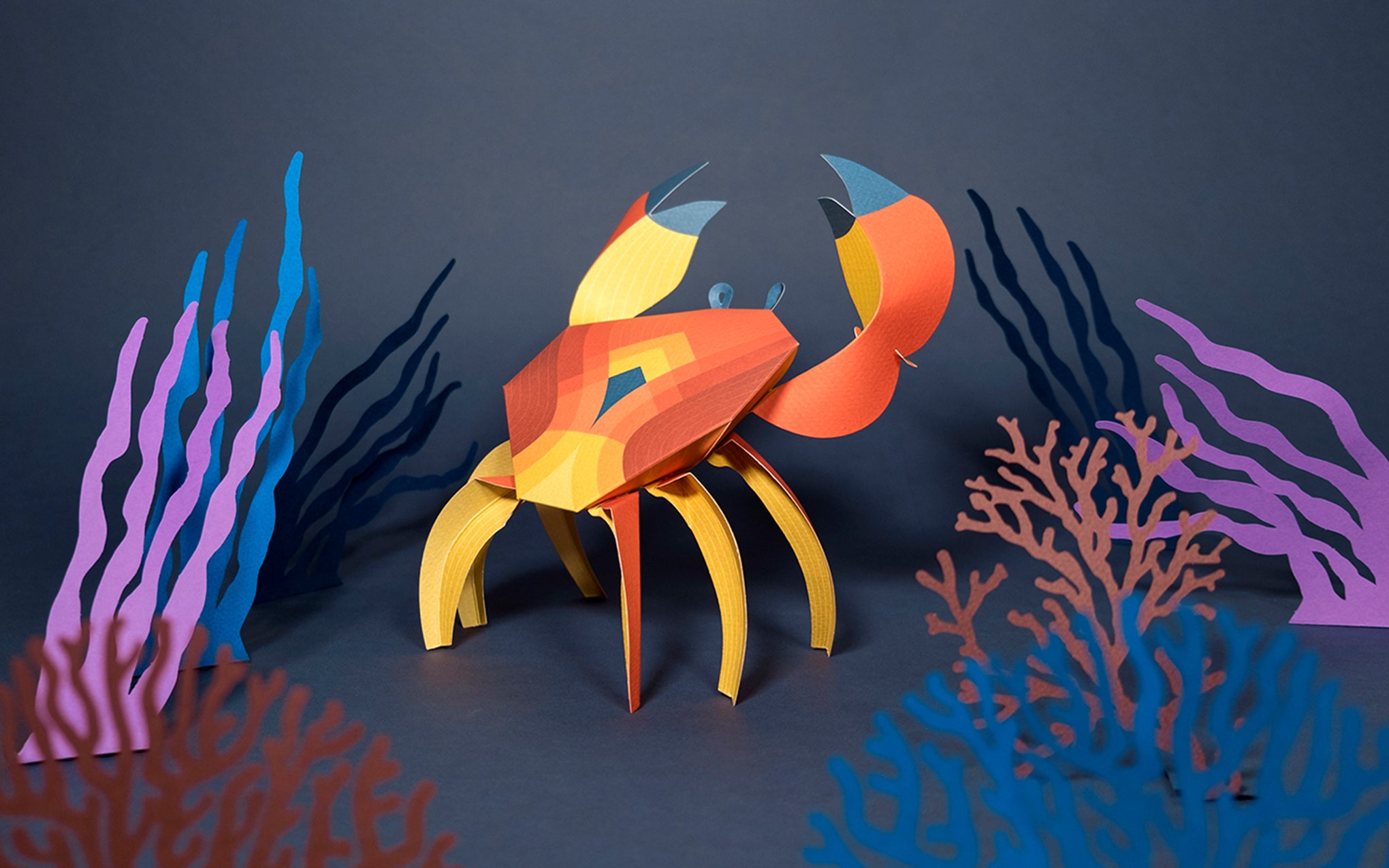 3D Paper Model - Cancridae (Crab)