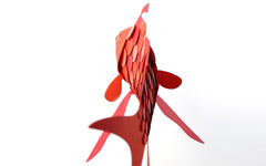 3D Paper Model - Anthias Anthias (Swallowtail Sea Perch)