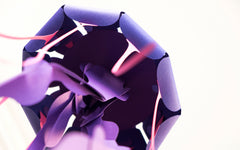 3D Paper Model - Chrysaora Hysoscella (Compass Jellyfish)