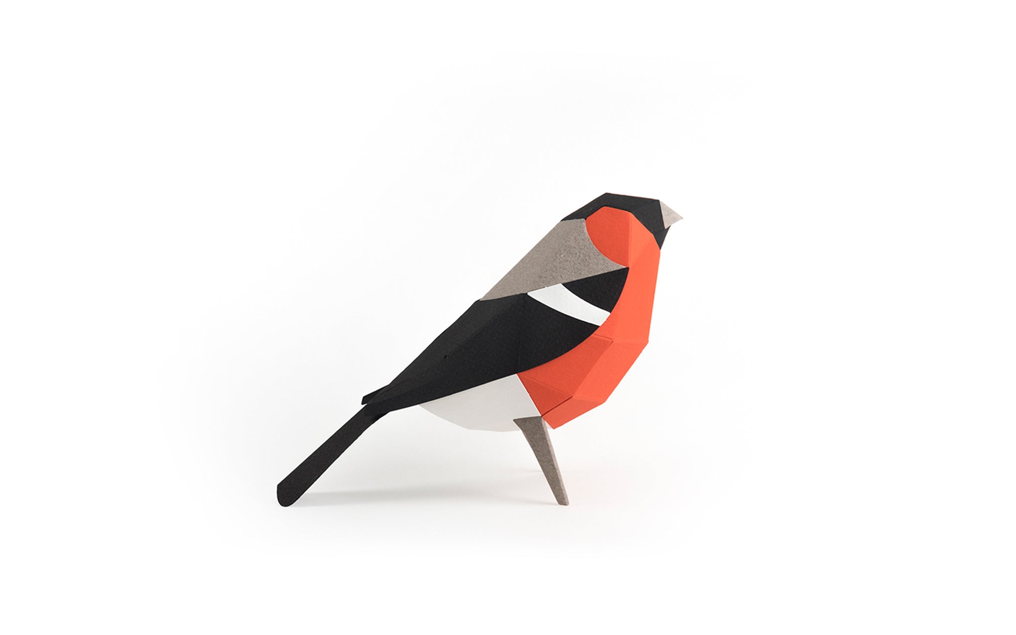 3D Paper Model - Pyrrhula Pyrrhula (Bullfinch)