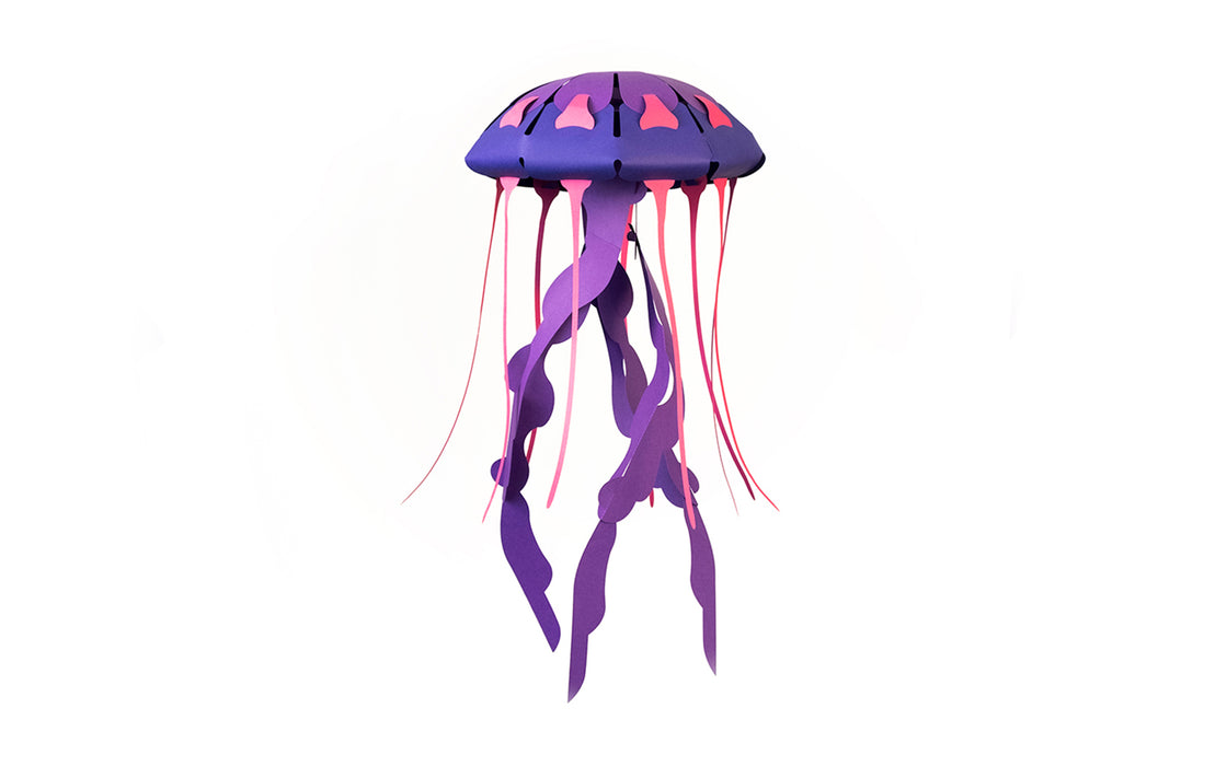 3D Paper Model - Chrysaora Hysoscella (Compass Jellyfish)