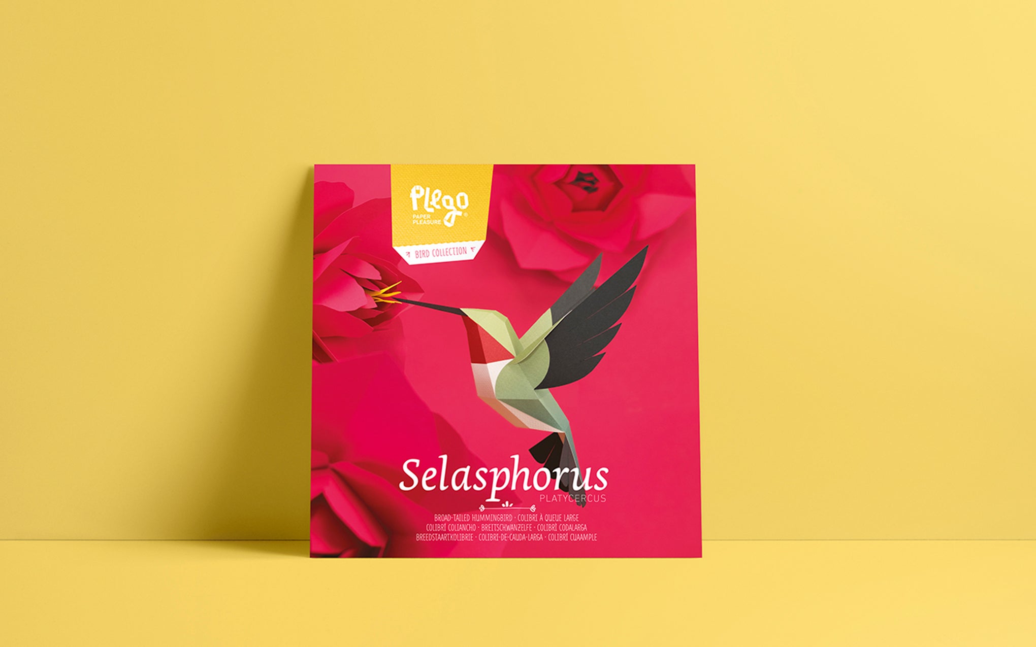 3D Paper Model - Selasphorus Platycercus (Hummingbird)