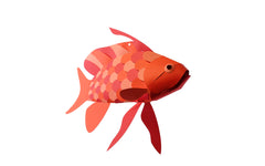 3D Paper Model - Anthias Anthias (Swallowtail Sea Perch)