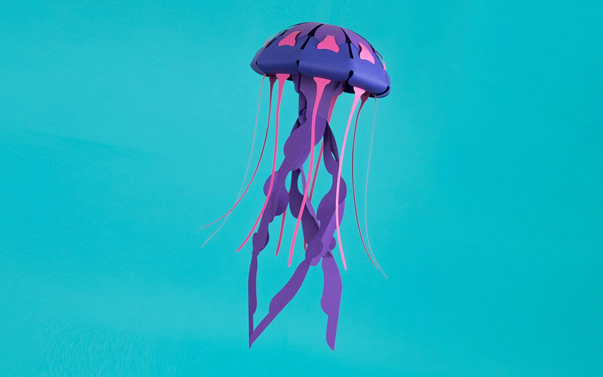 3D Paper Model - Chrysaora Hysoscella (Compass Jellyfish)