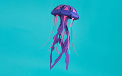 3D Paper Model - Chrysaora Hysoscella (Compass Jellyfish)