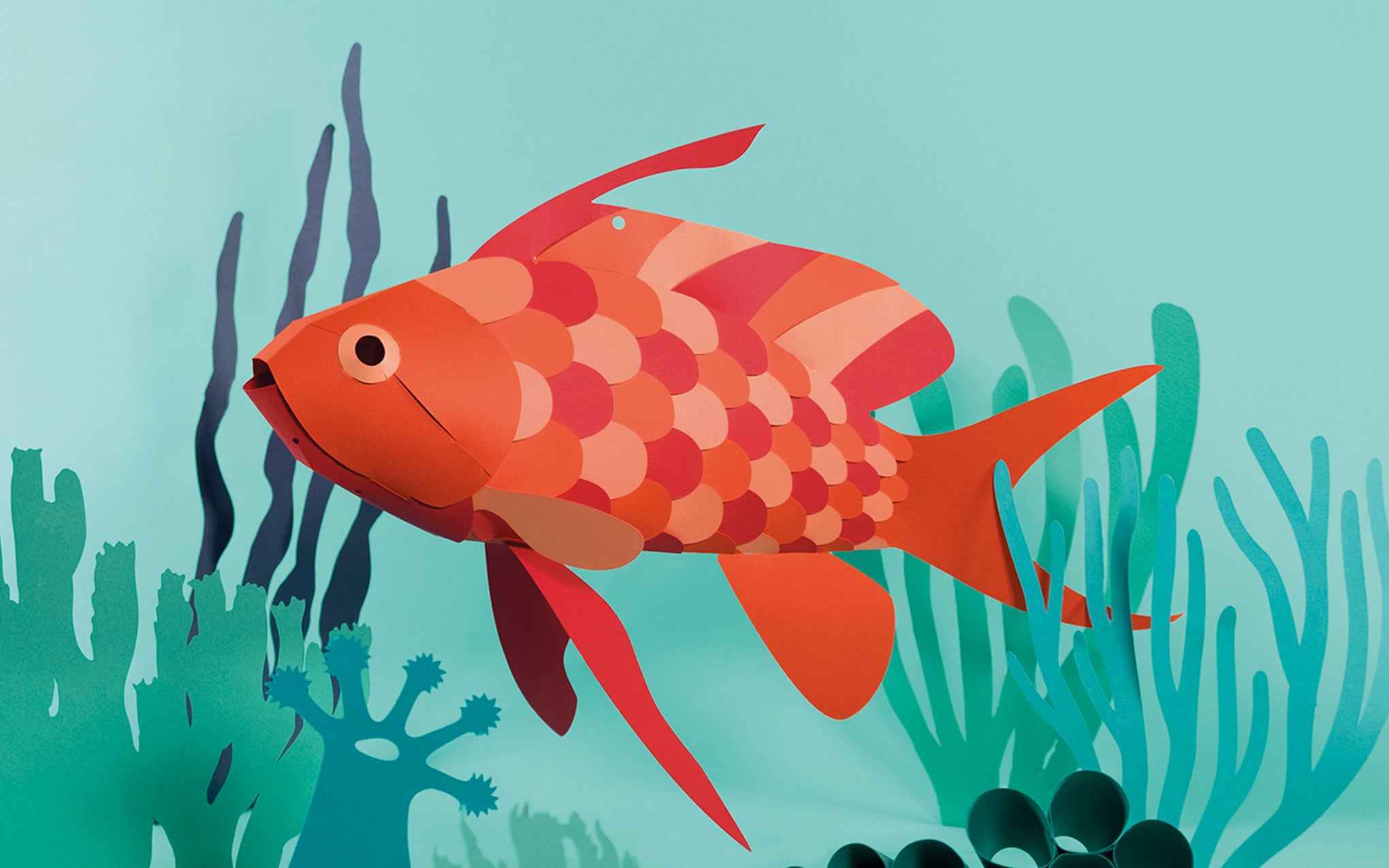 3D Paper Model - Anthias Anthias (Swallowtail Sea Perch)