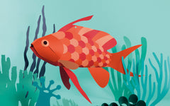 3D Paper Model - Anthias Anthias (Swallowtail Sea Perch)