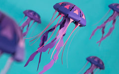 3D Paper Model - Chrysaora Hysoscella (Compass Jellyfish)