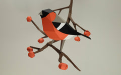 3D Paper Model - Pyrrhula Pyrrhula (Bullfinch)