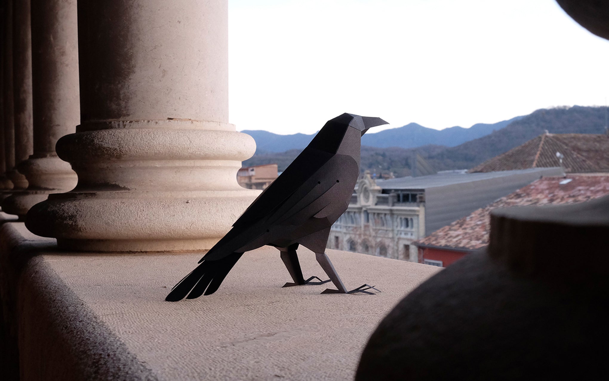 3D Paper Model - Corvus Corvax (Raven)