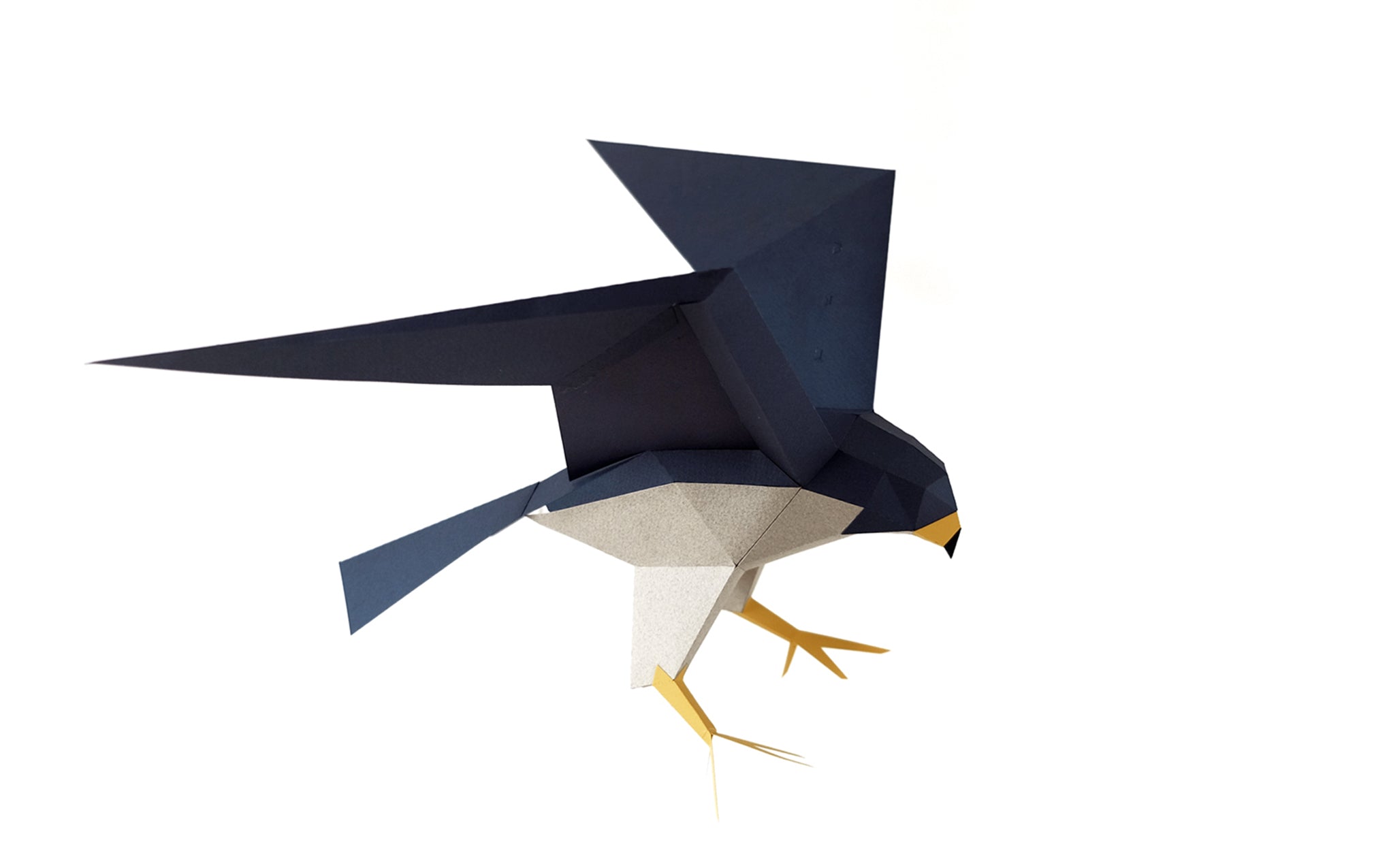 3D Paper Model - Falco Peregrinus (Peregrine Falcon)