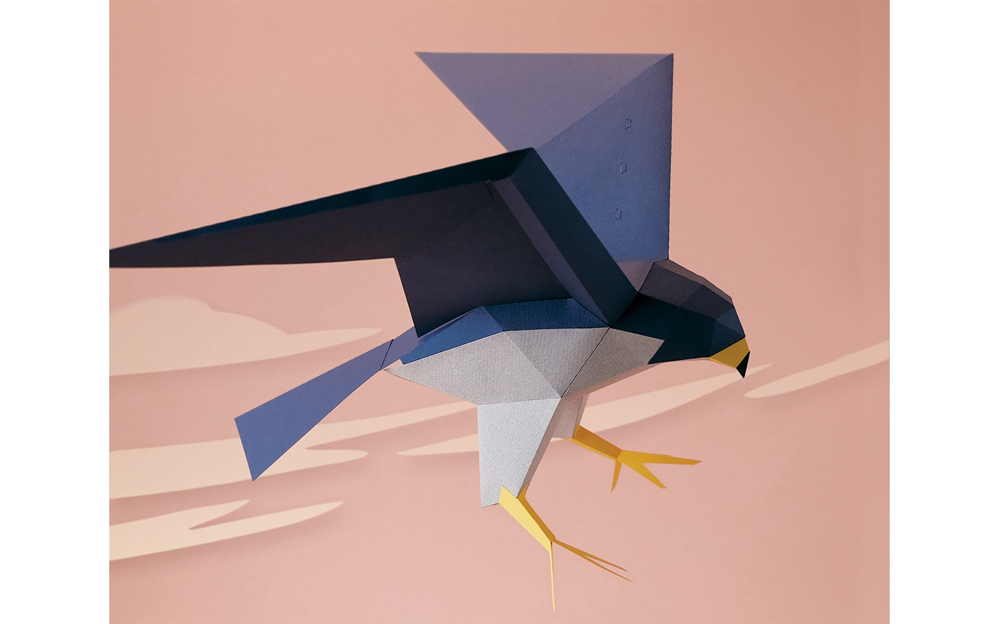 3D Paper Model - Falco Peregrinus (Peregrine Falcon)