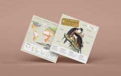 3D Paper Model - Falco Peregrinus (Peregrine Falcon)