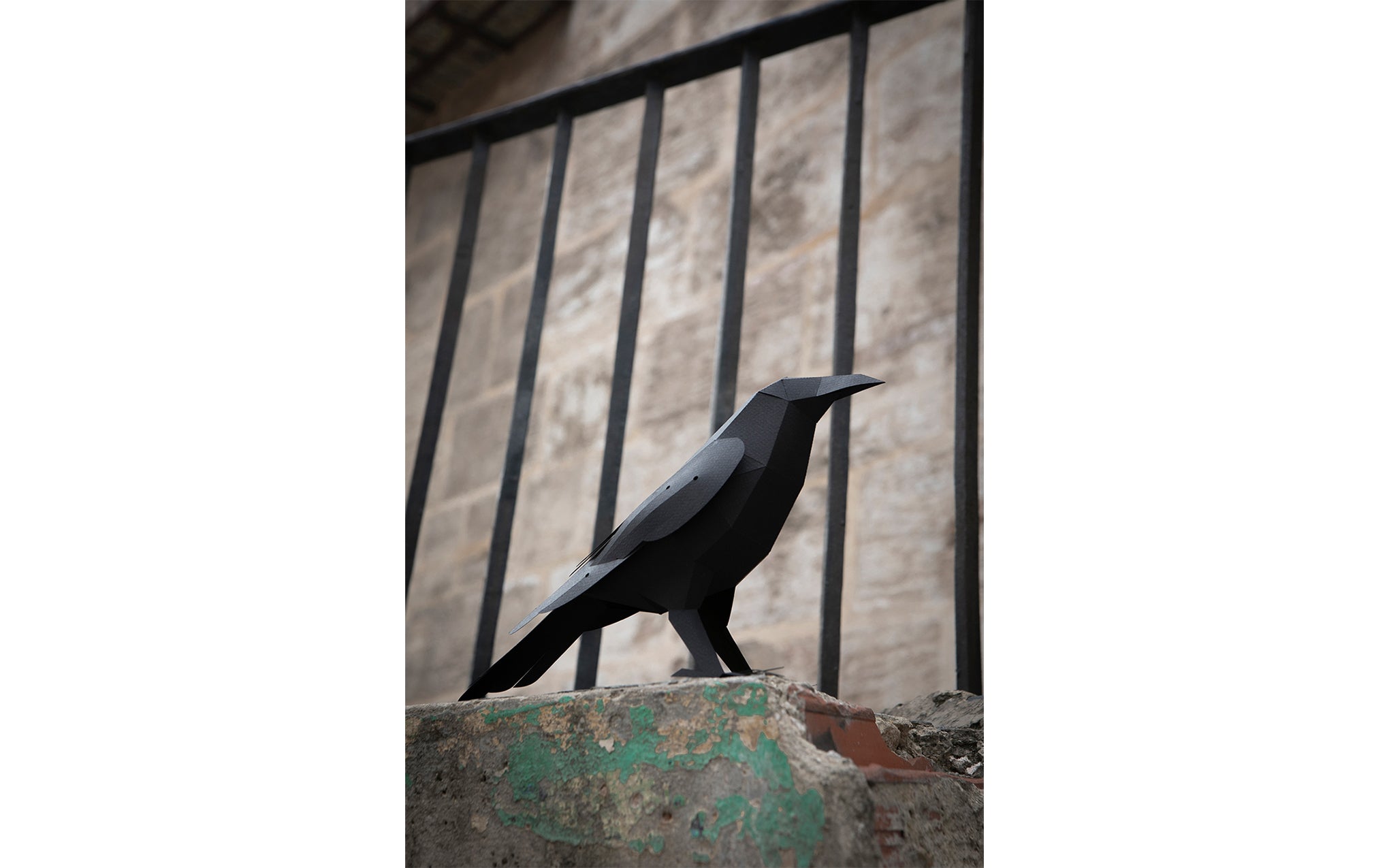 3D Paper Model - Corvus Corvax (Raven)