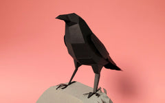 3D Paper Model - Corvus Corvax (Raven)
